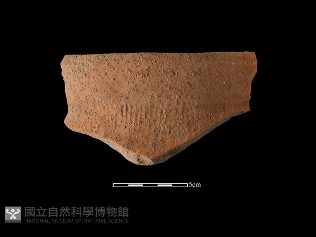 陶罐藏品圖，第1張