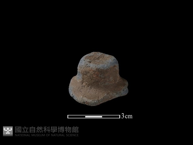 陶蓋鈕藏品圖，第2張