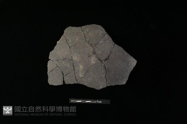 陶片藏品圖，第1張