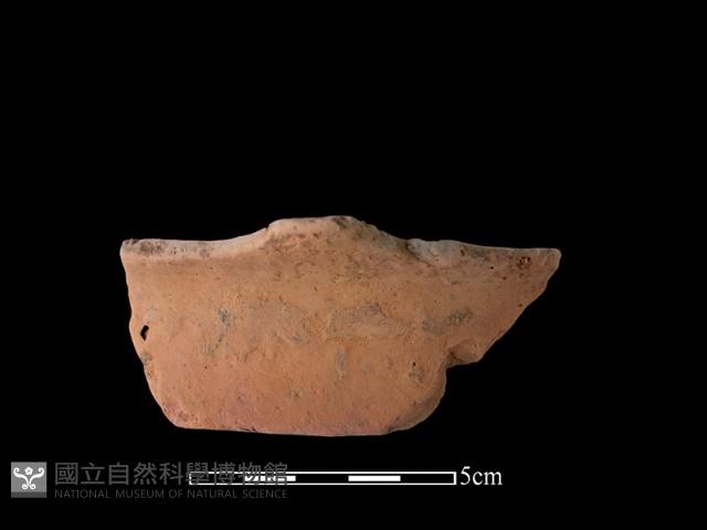 陶片藏品圖，第1張