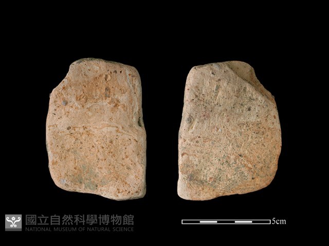 陶片藏品圖，第1張
