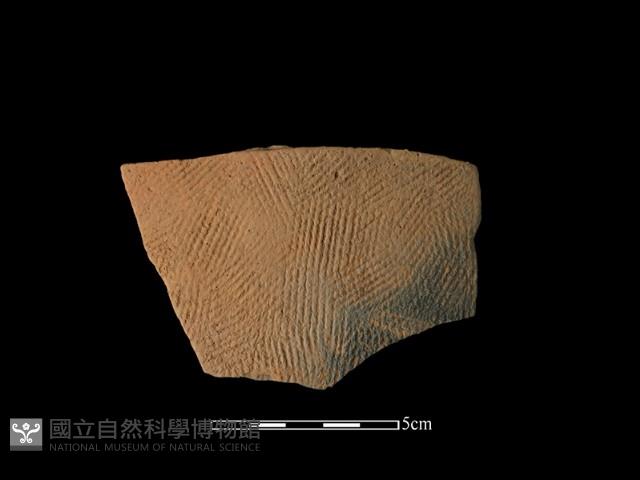 陶片藏品圖，第1張