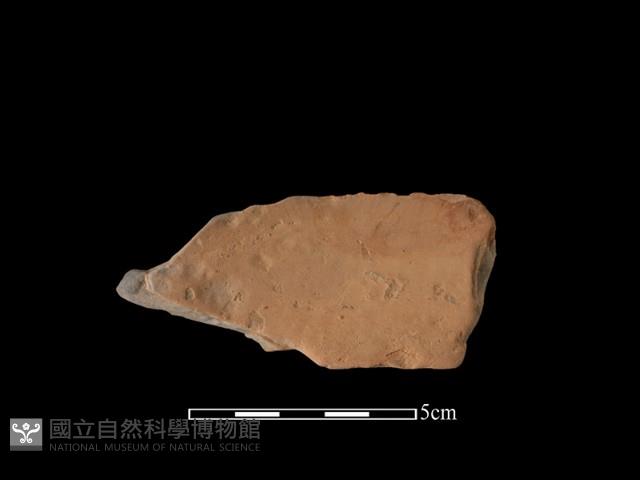 連杯形器藏品圖，第2張