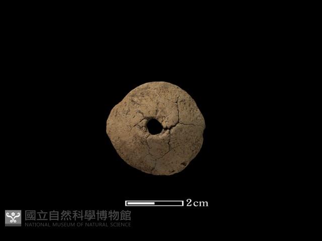 獸骨藏品圖，第2張