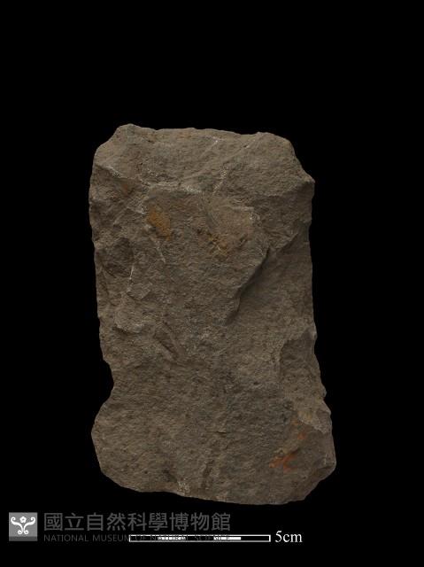 斧鋤形器藏品圖，第2張