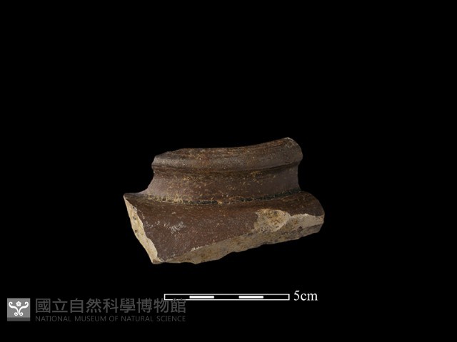 容器藏品圖，第1張