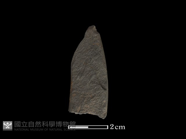 矛鏃形器藏品圖，第2張