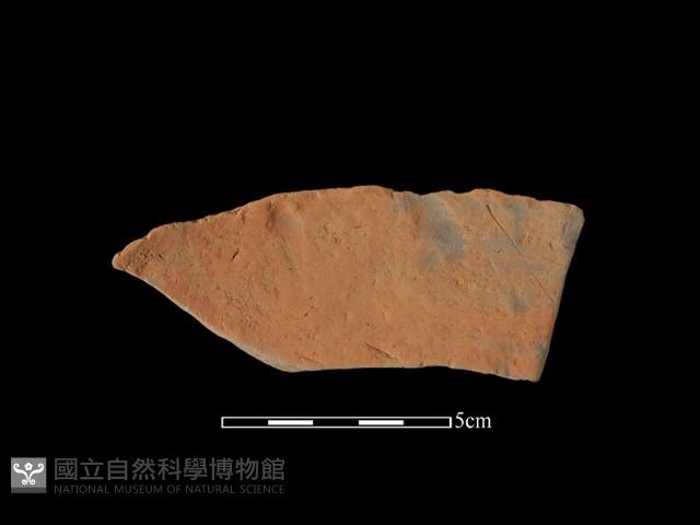 連杯形器藏品圖，第2張