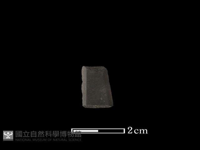 矛鏃形器藏品圖，第2張