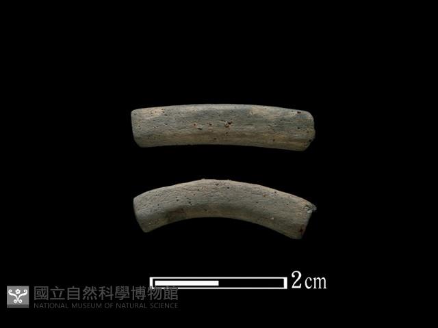 陶環藏品圖，第1張