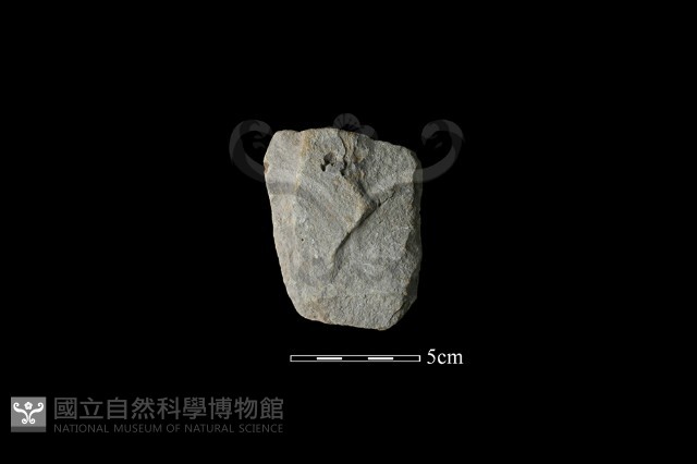 斧鋤形器藏品圖，第1張