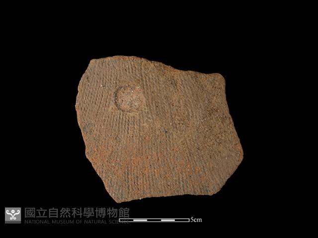 陶片藏品圖，第1張