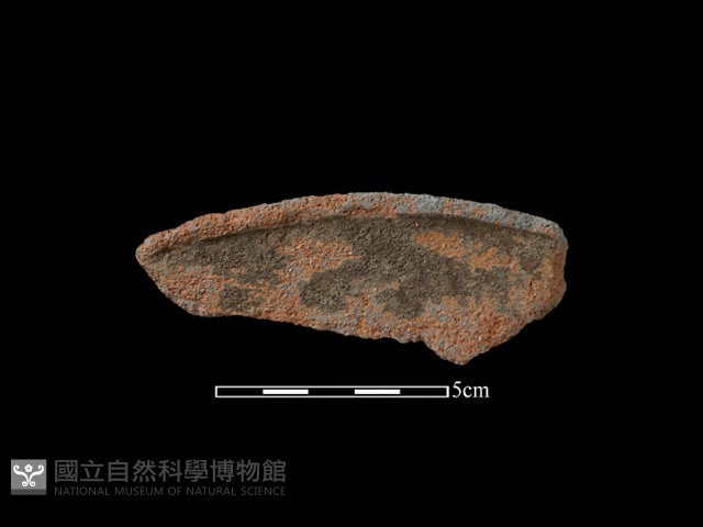 陶片藏品圖，第1張