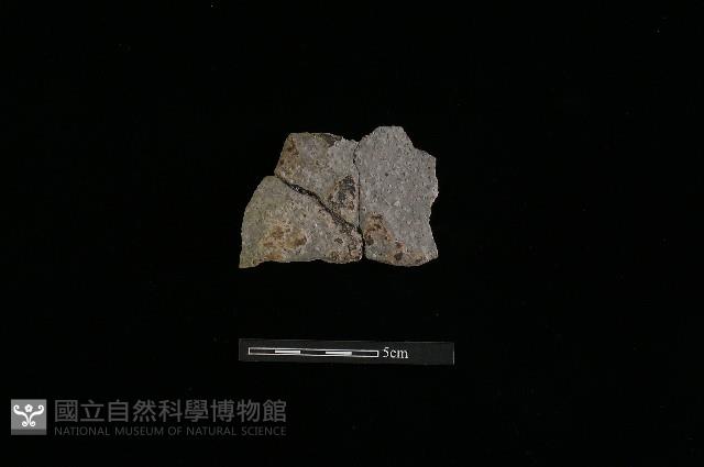 陶片藏品圖，第2張