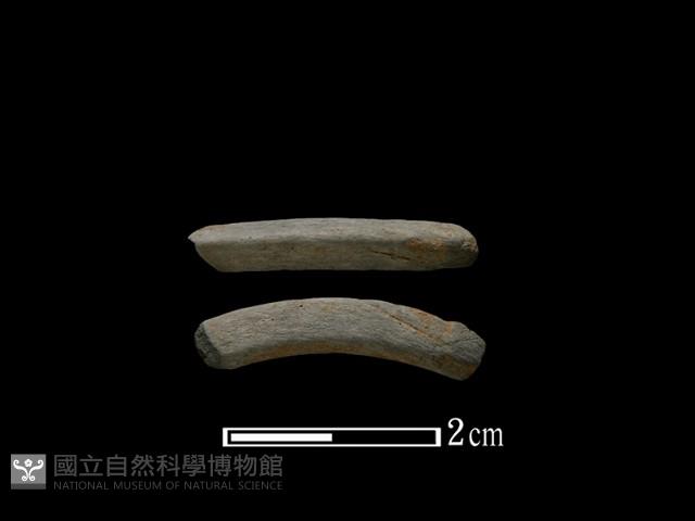 陶環藏品圖，第1張