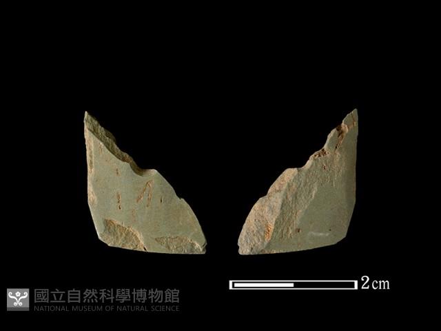 矛鏃形器藏品圖，第1張