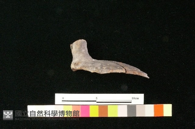 陶蓋藏品圖，第2張