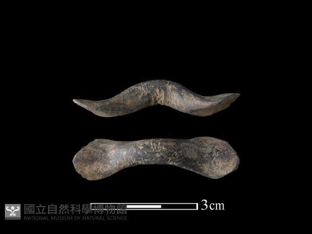 陶鈕藏品圖，第1張