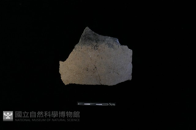 陶片藏品圖，第1張