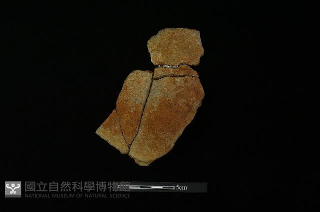 陶罐藏品圖，第1張