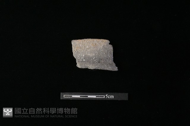 陶罐藏品圖，第1張