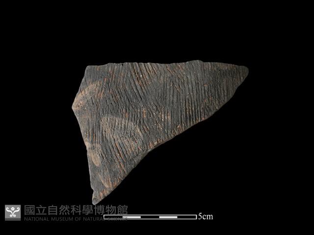 陶片藏品圖，第1張