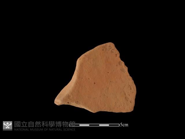 連杯形器藏品圖，第1張