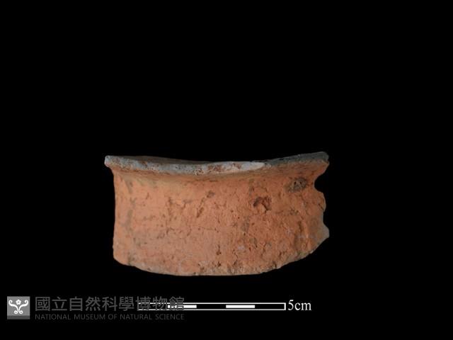 陶片藏品圖，第1張