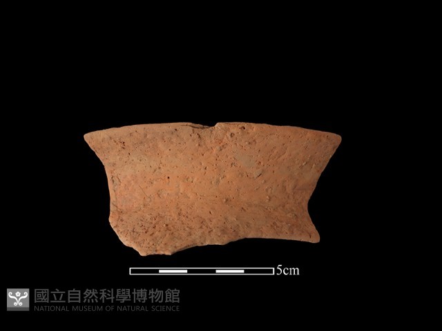 陶罐藏品圖，第1張