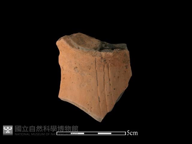 陶片藏品圖，第1張