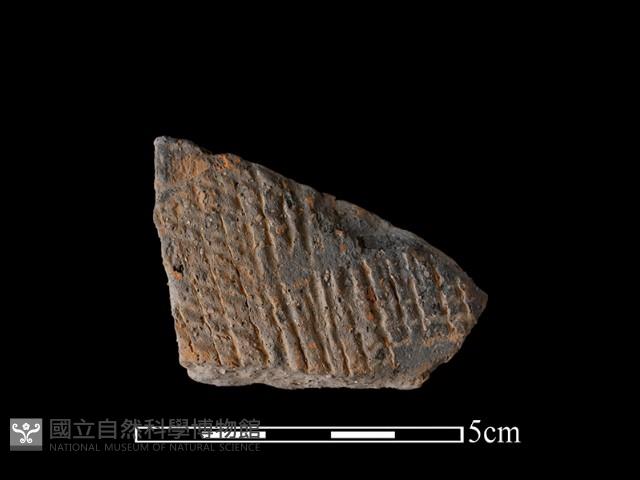 陶片藏品圖，第1張