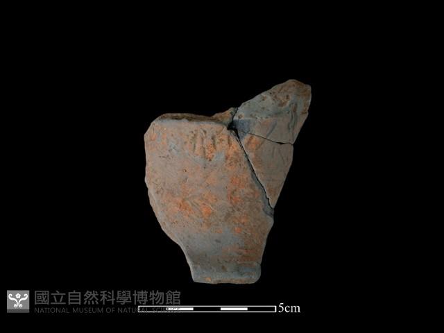 陶片藏品圖，第2張