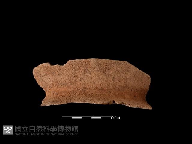 陶罐藏品圖，第1張