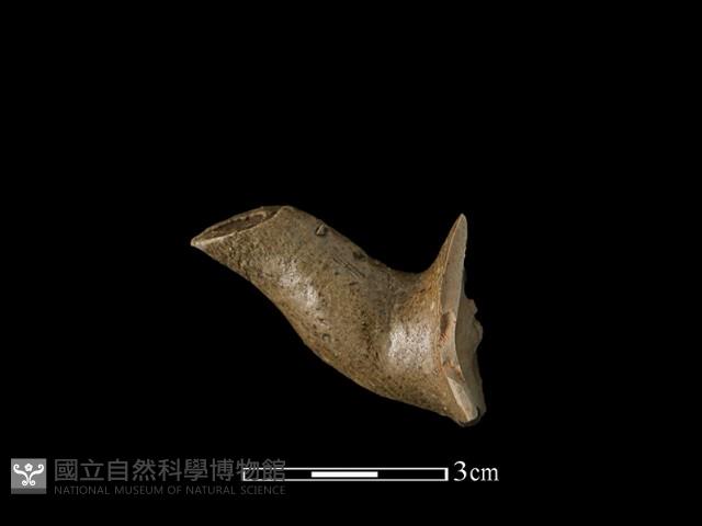 陶壺藏品圖，第1張