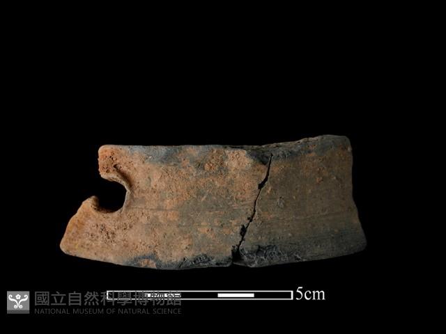 陶片藏品圖，第1張