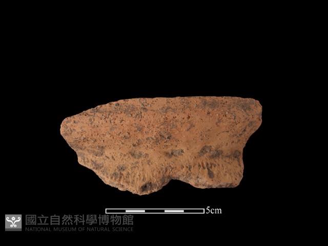 陶罐藏品圖，第2張