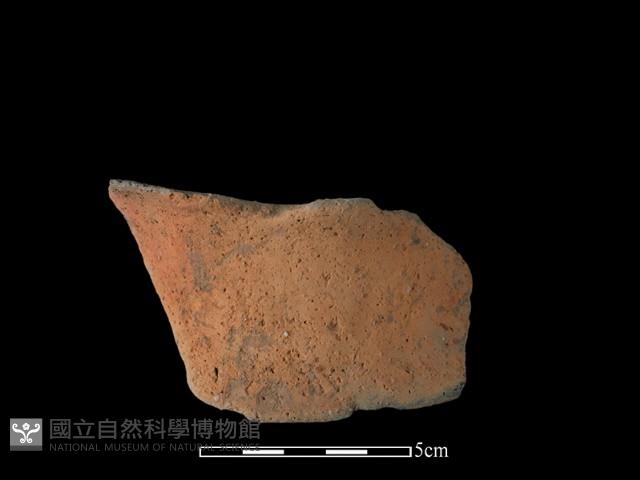 陶片藏品圖，第1張