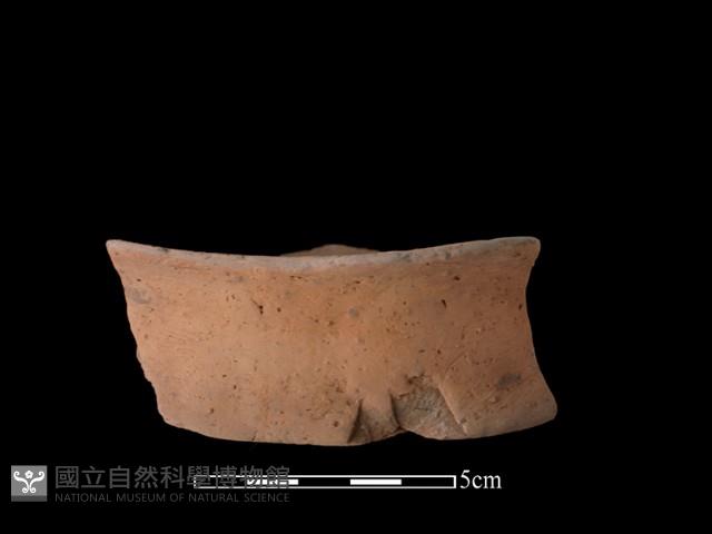 陶片藏品圖，第2張