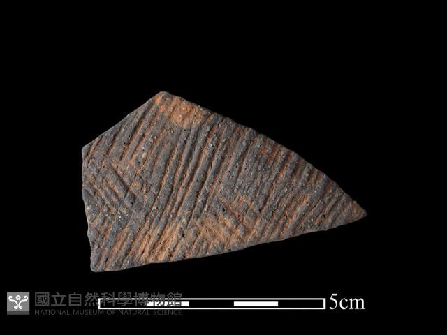 陶片藏品圖，第1張