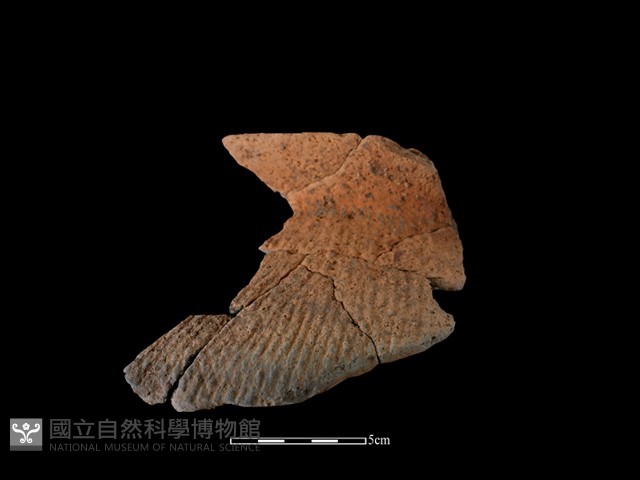 陶罐藏品圖，第2張