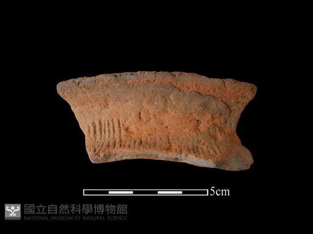 陶罐藏品圖，第2張