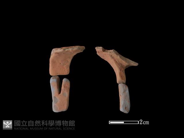 陶片藏品圖，第1張