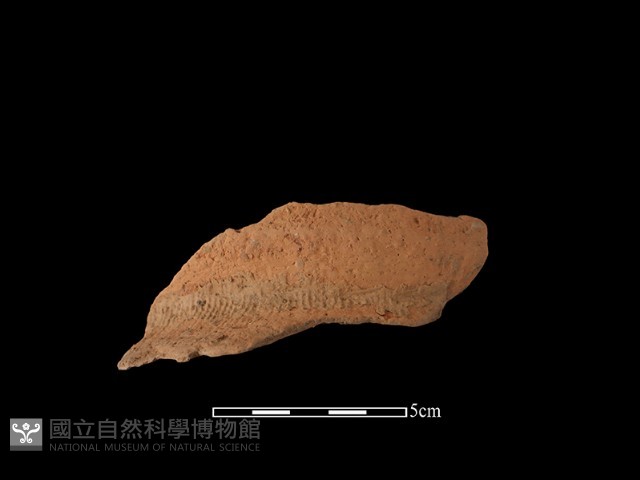 陶罐藏品圖，第1張
