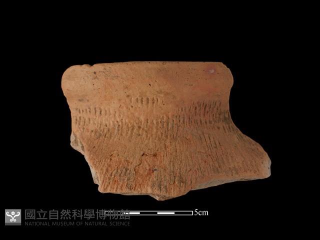 陶罐藏品圖，第1張