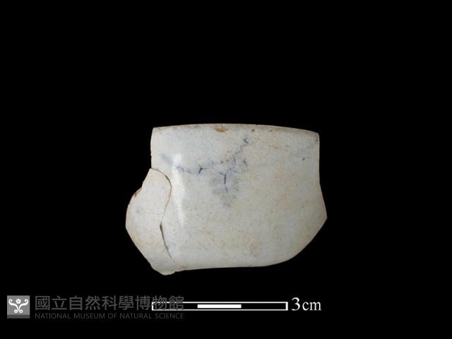 瓷杯藏品圖，第1張