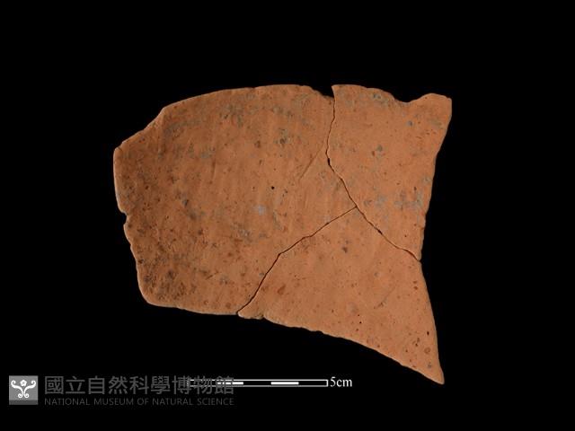 陶片藏品圖，第1張