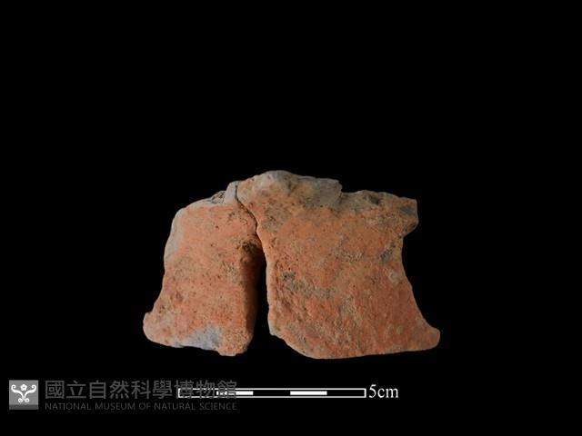 陶片藏品圖，第1張