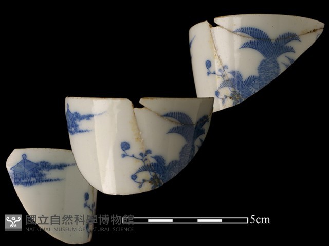 瓷杯藏品圖，第1張