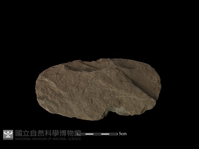 打製石刀藏品圖，第1張