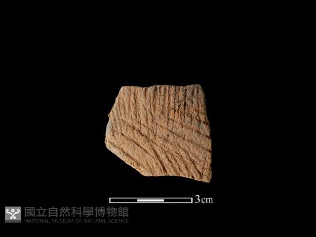 陶片藏品圖，第1張